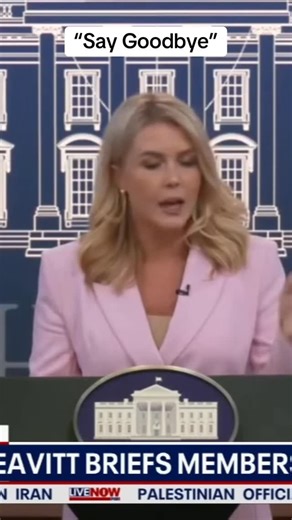 Karoline Leavitt on “men in women’s sports” and the Trump administration policy position | LiveNOW from FOX