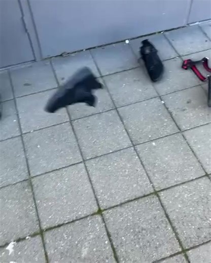 #adl #melb #adldrill #fyp