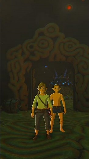 BALD LINK IS REAL🤣Multiplayer Breath of the Wild BOTW Mod