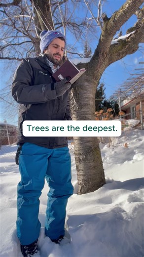 On Tu Bishvat, we’re reminded that people are meant to be like trees. In Hebrew, eitzah (guidance) shares its root with eitz (tree). Real guidance comes from being rooted, from listening deeply, and from speaking with care and timing. May we grow strong roots and bear fruit that helps others connect to the depths of their souls. Tu Bishvat Sameach 💚 #TuBishvat #Torah #Judaism #Growth #Roots