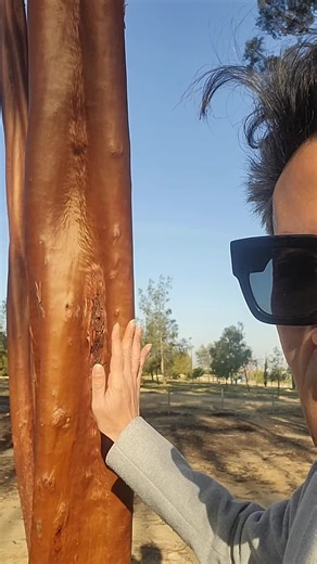 I love myself, I want you to love me