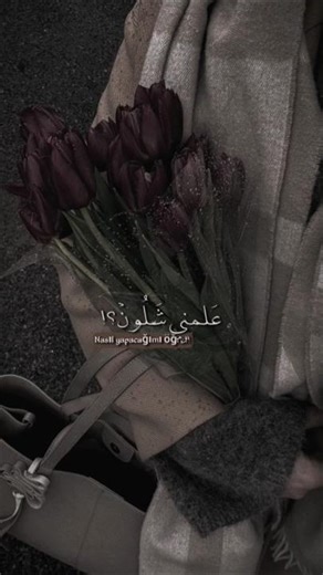 حَبيت 😞❤️‍🩹. #مهجه #اللهم_صل_على_محمد_وال_محمد