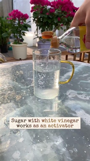 How to use sugar to boost your plants #gardening #roomtogrow #garden #farming #growingvegetables