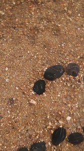 Samsung screen IP68 waterproof display #Samsung #digital #digital technology | Trendy Tech Review