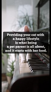 Cat Food Selection Made Easy: How to Choose the Best Option "Are you struggling to choose the right cat food for your furry friend? Look no further! In this short video, we'll provide expert tips and guidance on how to select the best option for your feline companion. From understanding ingredients and nutrition labels to considering your cat's age and health needs, we've got you covered. Tune in to learn how to make informed choices for your cat's diet and keep them happy and healthy." #Catfood