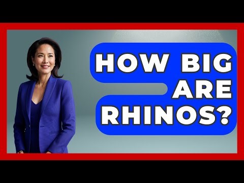 How Big Are Rhinos? - The Wild Life Explorer