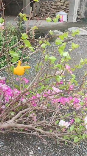 #pleasesubscribemypage | Gles Feliciano