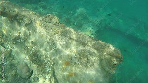 Exploring a submerged graveyard of sunken bombed Japanese warship wreck on bottom of ocean from World War 2 WWII during a leisure dive in islands of the Pacific