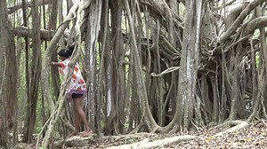 3K views · 58 reactions | Valorisation Martinique Grand Merci a Corrine Babin Merci Teleantilles | Teleantilles | Facebook