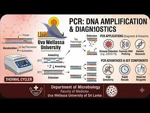 PCR