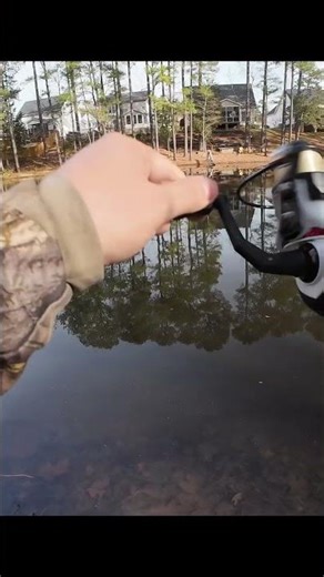 Float fishing for bluegill #fishing