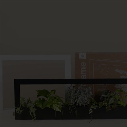 Grow fresh herbs and plants anywhere in your home, no natural light required. Made of high quality metal, Growframe features full-spectrum LED grow light that emits a warm light that doesn't feel harsh in your living space. Smart App allows for custom scheduling and brightness. Wall-moutable fixture. Plants will thrive and make a statement. Backed by our 3 year warranty.