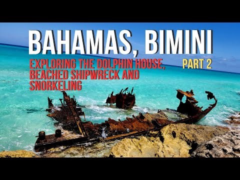 Exploring Bimini Day 2 | Dolphin House + Shipwreck + Snorkeling at Radio Beach EP13P2