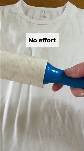 Removing Dog Hair from Clothes (Lint Roller Test)