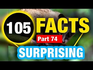 105 Amazing Facts