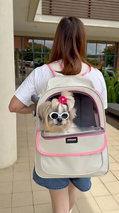 108K views · 1.6K reactions | Ready for paw-some adventures!  Packed with our pet travel must-haves: comfy pet backpack , secure pet diaper, 2-in-1 poop bag with tissue for easy clean-ups , stylish pet shoes  & a harness with leash for safe strolls 瑩. Let’s go explore in style and comfort! #princessthekikaydog #doglover #petcare #fbreelsvideo #fbreelsfypシ゚viralシ | FurMom Rose | Facebook