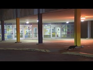 Girl, 14, jumped and assaulted by group of students at Maryland high school | NBC4 Washington