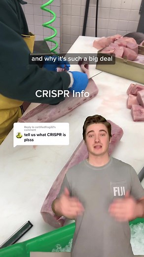 Understanding CRISPR: Importance and Applications Explained