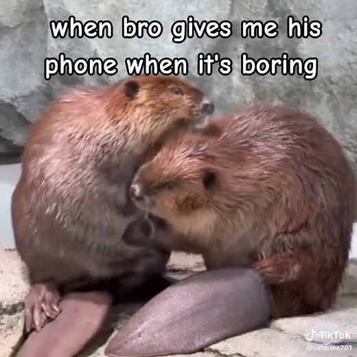 The Bond Between Real Friends: A Helping Hand