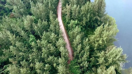 #Didyouknow Punggol used to be called Tanjong Rangone? Punggol has a rich and interesting history - watch this video or visit the Punggol Discovery Cube. | Housing & Development Board