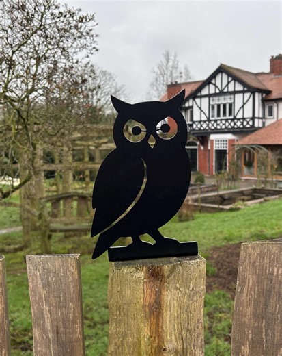 Handmade Metal Owl Fence Topper | Powder Coated Steel Garden Decor - Etsy UK
