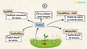 Îngrășăminte chimice. Chimie clasa a 8-a