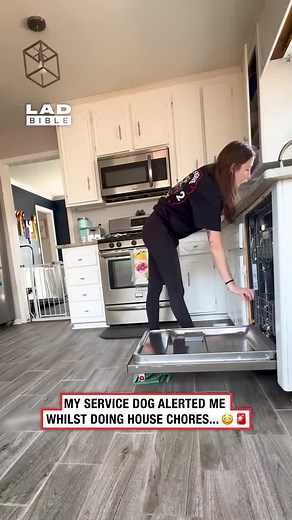 This dog is an absolute hero👏 From a neurological perspective, service dogs can act as regulators of human behaviour and emotion. For individuals with conditions like PTSD or autism, the dog’s presence can help stabilise heart rate, interrupt panic responses, and create a predictable, grounding routine. In this sense, they don’t just respond to commands, they respond to subtle changes in human state, making them a living, responsive support system that adapts moment by moment. 🎥: @Serviceaussi