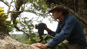 Nature - Inside NATURE: Undercover in the Jungle - Twin Cities PBS