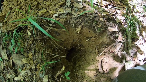 Rarest Civil War Shell Caught on Camera | $1,500 Sawyer Bolt Found!