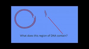 Marker Genes – Science Learning