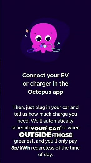 Intelligent Octopus Go Explained