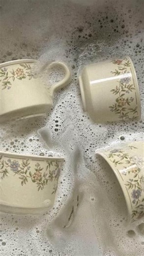 Brandi | Motherhenshomestead on Instagram: "It’s time to teach the next generation the life skills they truly need. And unfortunately, many of those aren’t taught in a classroom. But I have good news 🙌🏼 I just launched my Gardening Basics eBook for Kids (ages 5–10) 65 pages packed with hands-on knowledge to help little hands learn how to grow their own food, build confidence, and connect with the land. Because growing food is more than a skill—it’s a foundation. Perfect for homeschool, classro