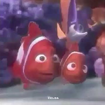Nemo, sponge beds