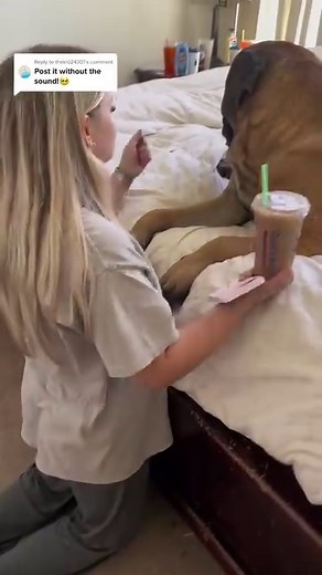 1.8M views · 10K reactions | My HUGE Dog Won't forgive her for...