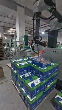 Robot Case Palletizer