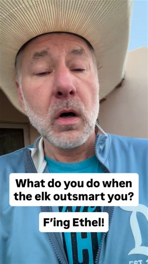 3 comments | Fecking Ethel! | Keith Allen West | Facebook