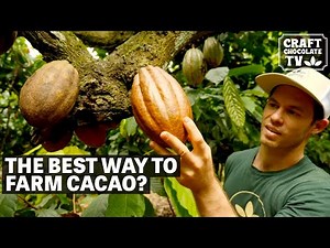 Cacao Farm Comparison | Ep.82 | Craft Chocolate TV
