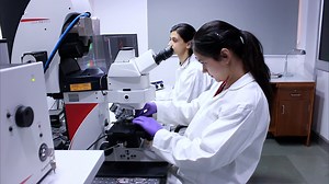 Determination of Tripartite Interaction between Two Monomers of a MADS-box Transcription Factor and a Calcium Sensor Protein by BiFC-FRET-FLIM Assay