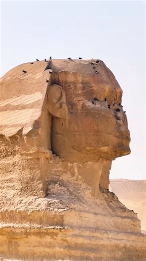 The Sphinx and the birds | Worldside Stories