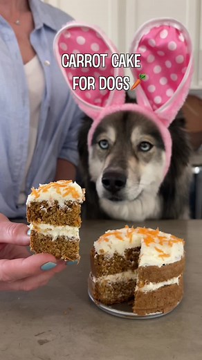 Carrot Cake for Dogs Recipe