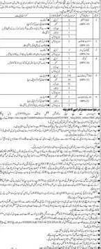 Junior Translator | Assistant Accountant | Telephone Operator | Jobs in Sindh High Court 2026 |Apply