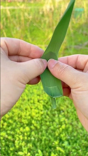 Simple Craft | Make a Little Boat Using Just a Leaf!