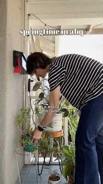 spring has sprung #vlog #abq