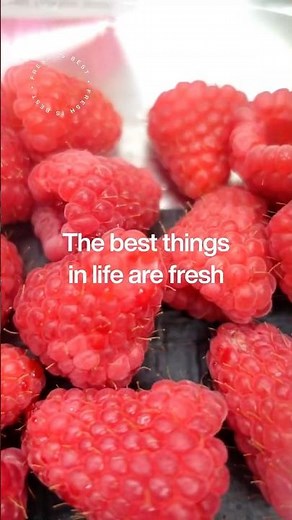 Lush Fresh & Flowers Subscription Box - August