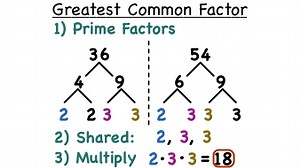 How Do You Find the Greatest Common Factor of Two Numbers Using Prime Factorization? | Virtual Nerd