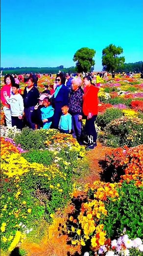 America’s Most Colorful Flower Garden Tour 🌸 Stunning Blooms! #Shorts