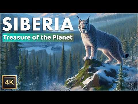 Siberia: Exploring the Vast Wilderness | Full Documentary in 4K