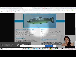 ejemplos de ficha temática