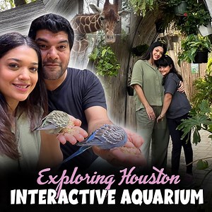 479K views · 6K reactions | Exploring Houston Interactive Aquarium #aquarium #houston #sanamjung | Sanam Jung | Facebook