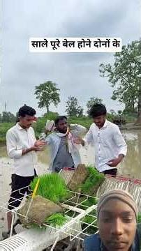 Aaj dhaan machine se lagane a gai